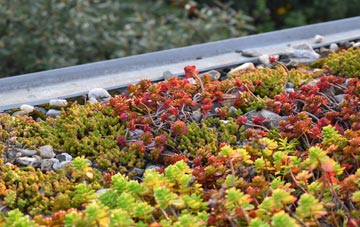 the cost of Warriston green roof installation