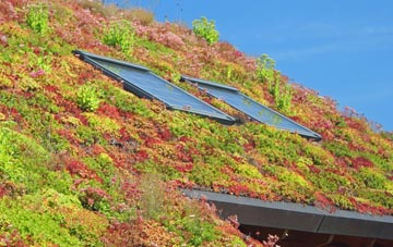 Warriston living roof systems